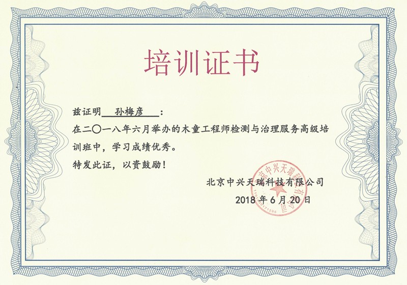 孫梅彥-木童工程師檢測與治理服務(wù)高級培訓(xùn)證書.jpg